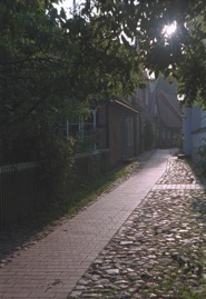 #36.jpg