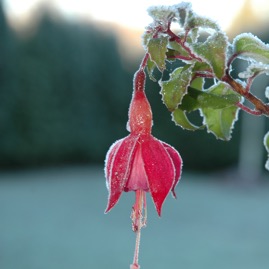 DSC_0994.JPG