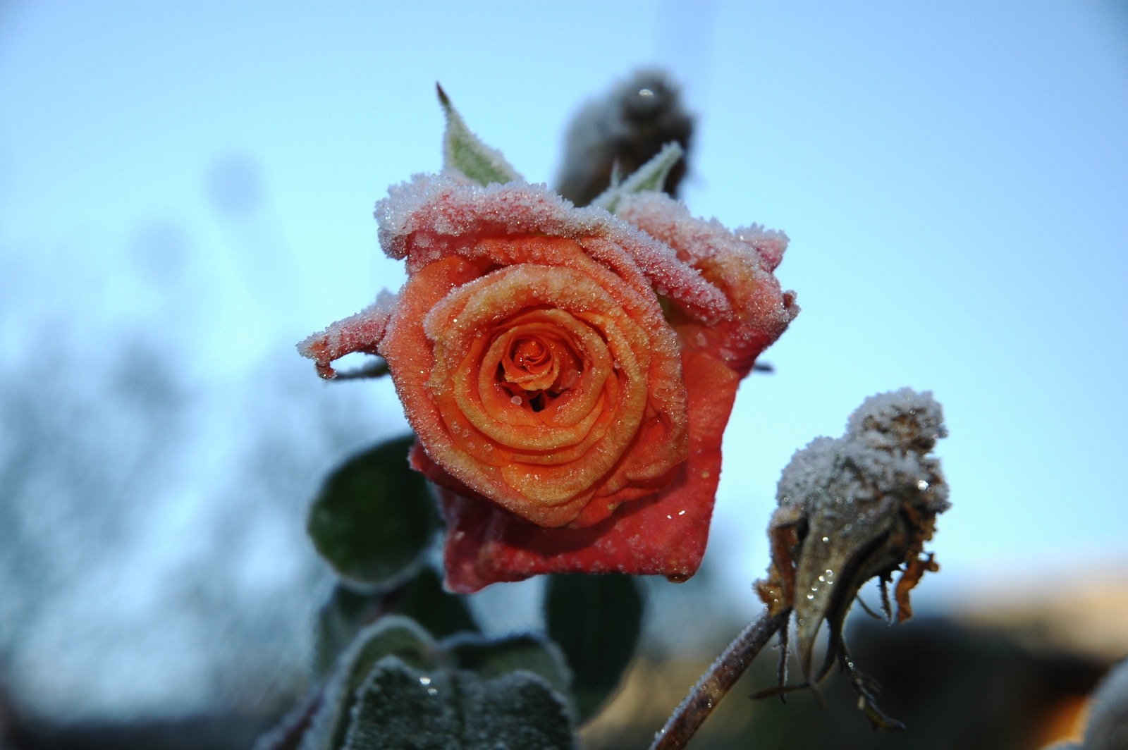 DSC_0957.JPG