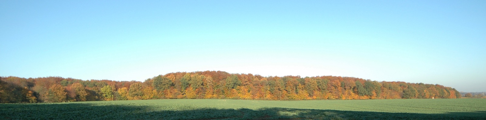 DSC_0895.JPG