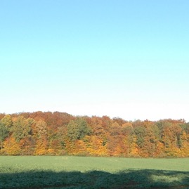 DSC_0895.JPG