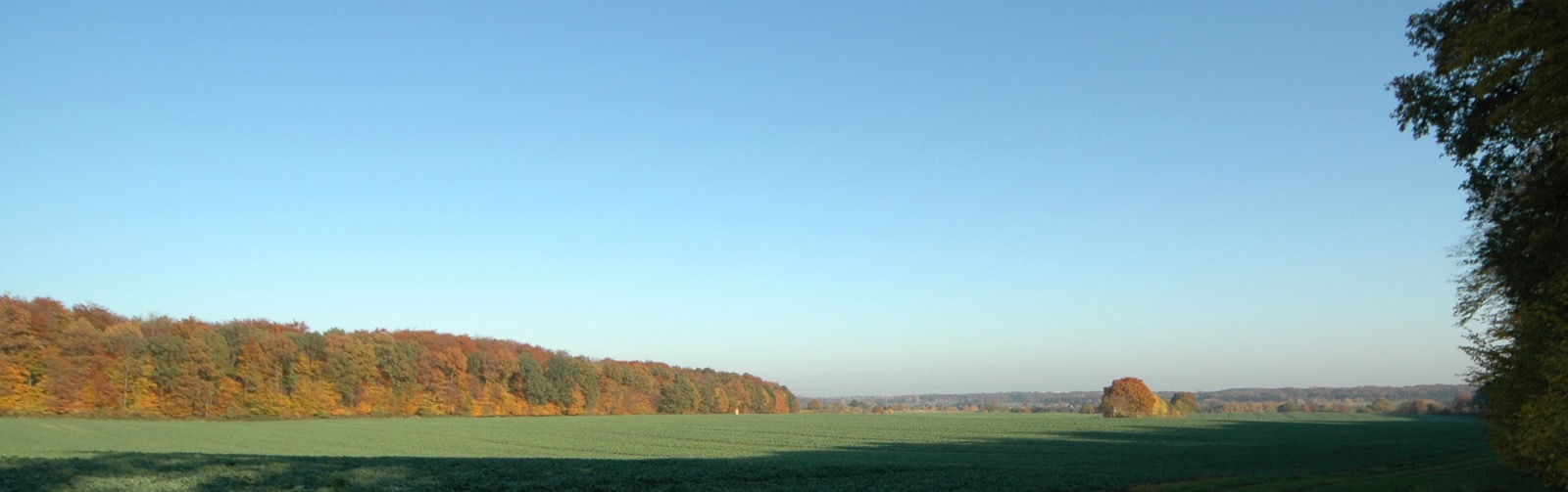 DSC_0896.JPG
