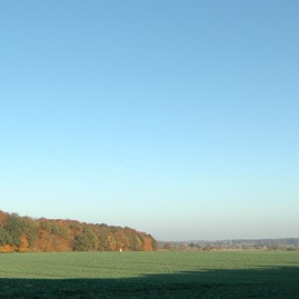 DSC_0896.JPG