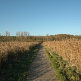 DSC_0906.JPG