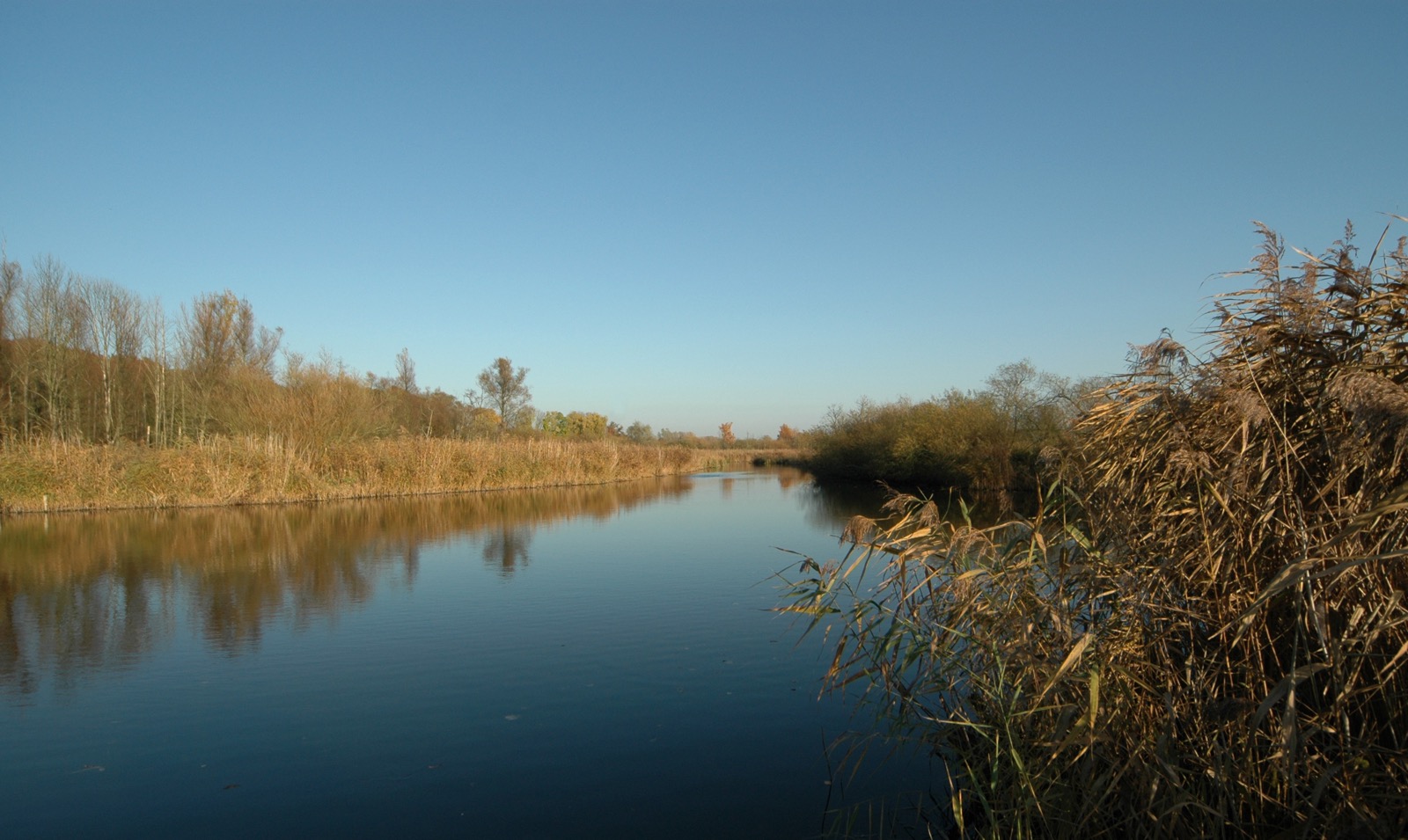 DSC_0913.JPG