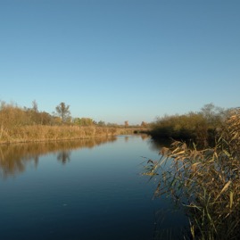 DSC_0913.JPG