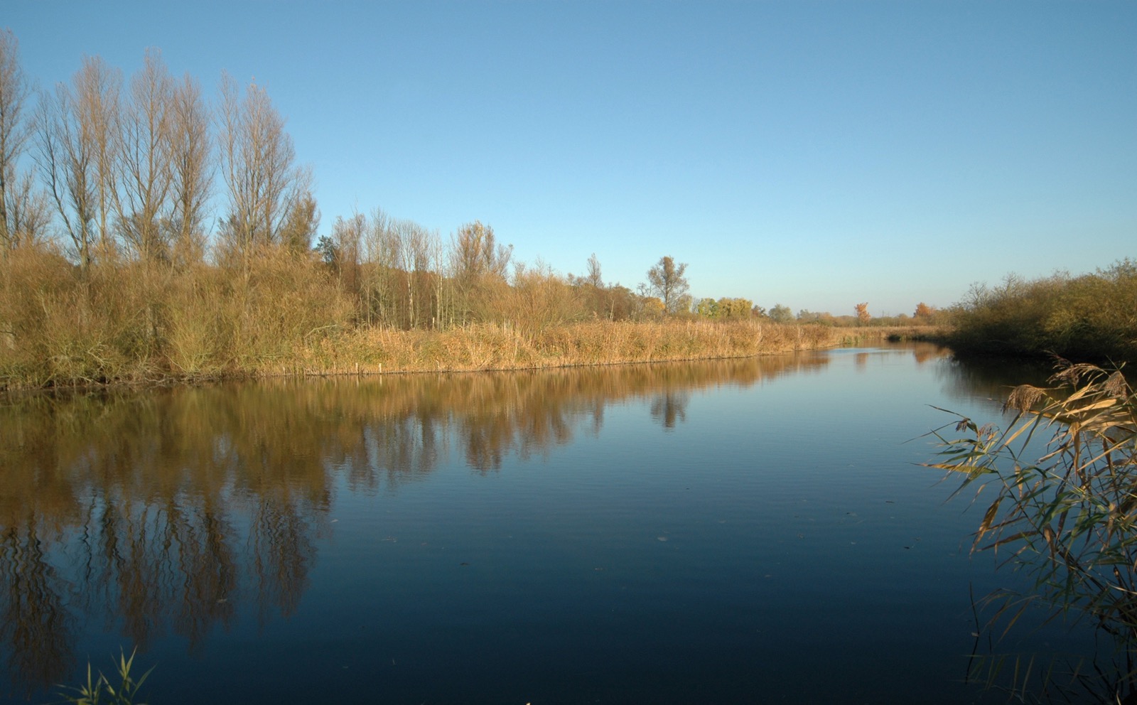 DSC_0914.JPG