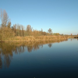 DSC_0914.JPG