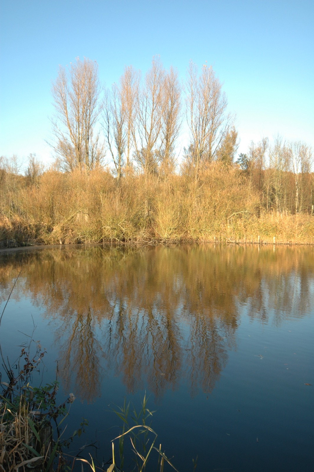 DSC_0915.JPG