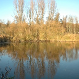 DSC_0915.JPG