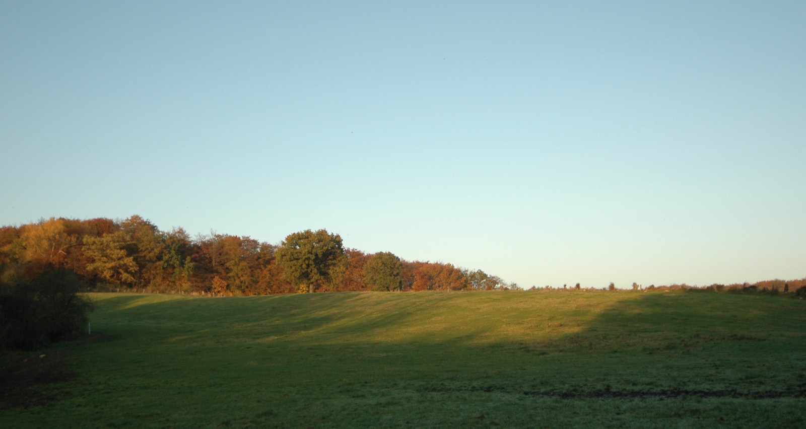DSC_0938.JPG