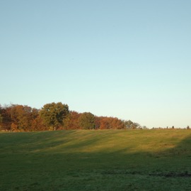 DSC_0938.JPG