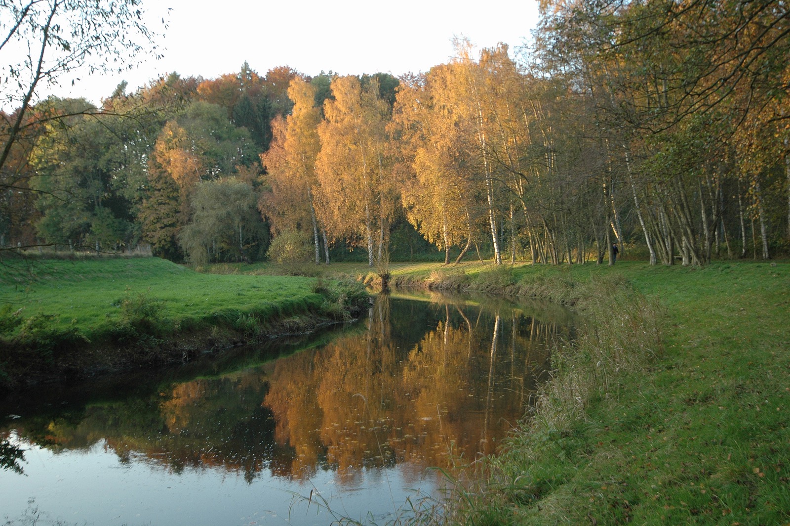 DSC_0940.JPG