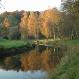 DSC_0940.JPG