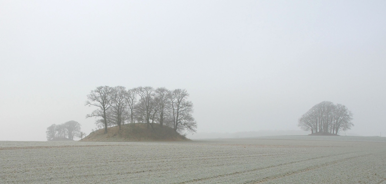 DSC_0243.JPG