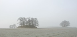 DSC_0243.JPG