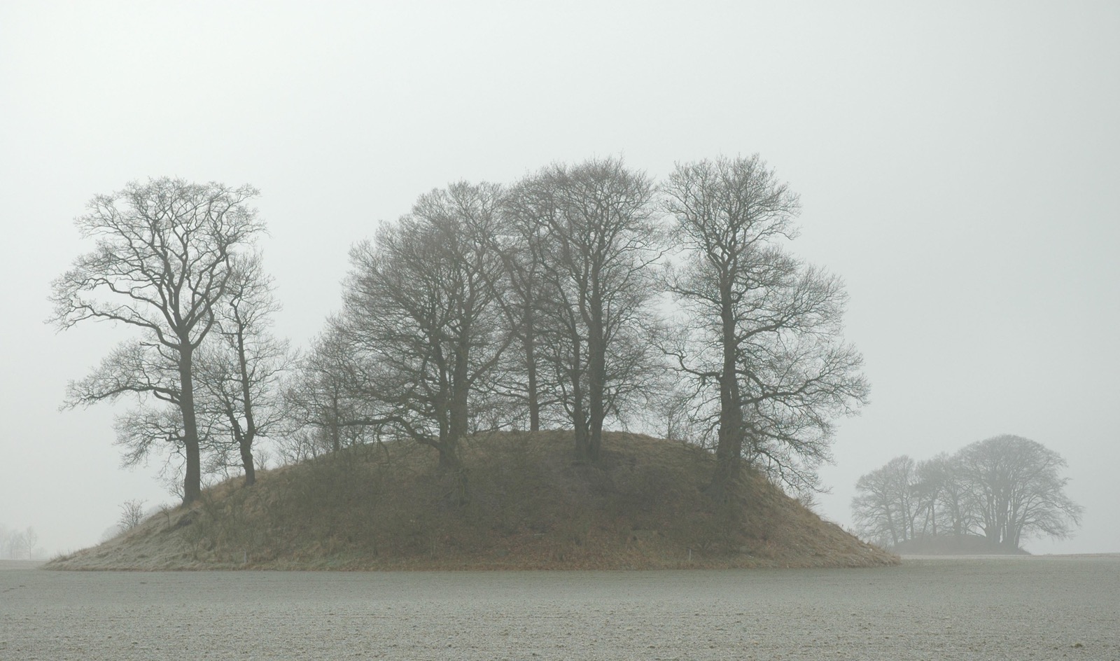 DSC_0250.JPG