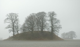 DSC_0250.JPG