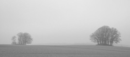 DSC_0247ASb.jpg