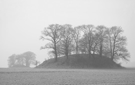 DSC_0245b.jpg