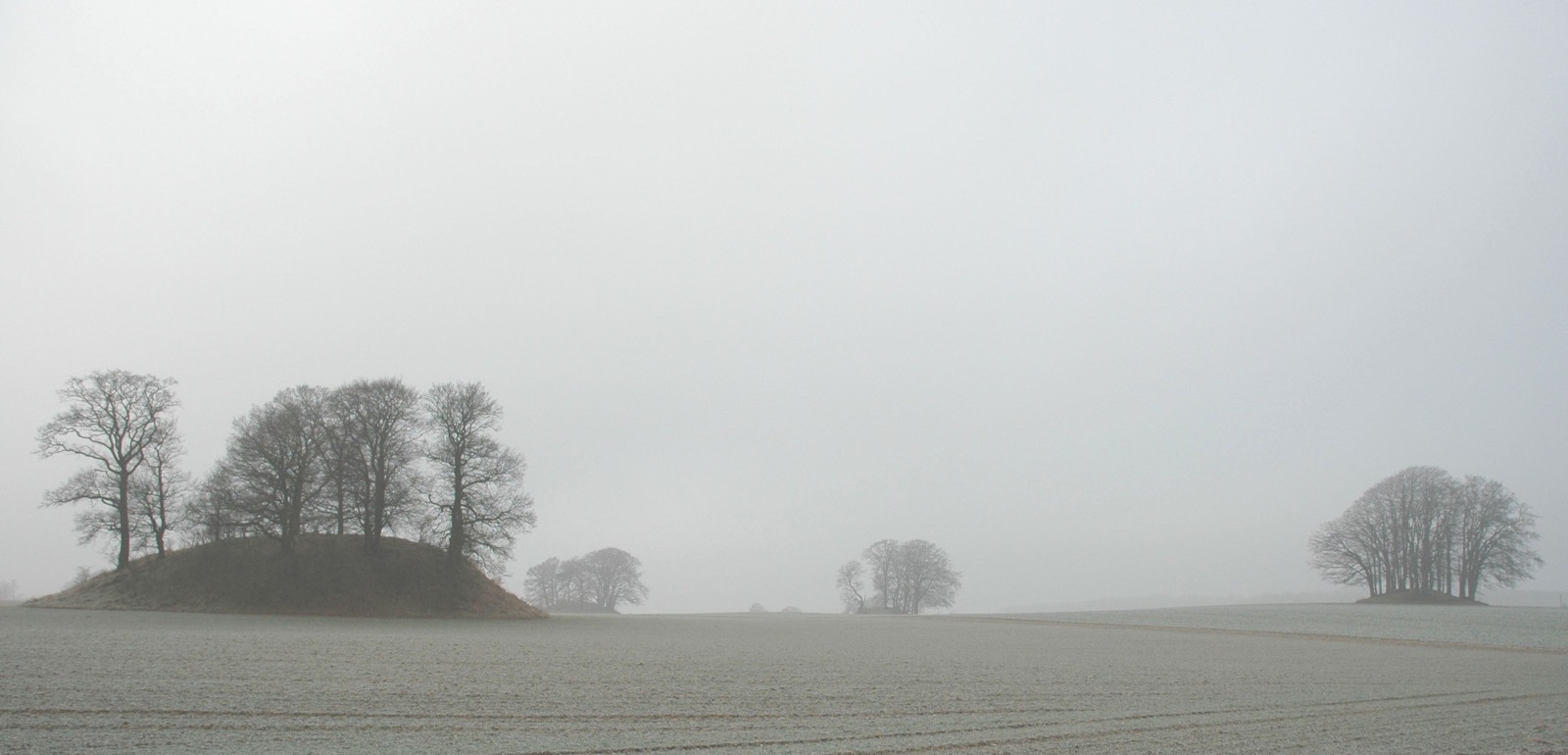 DSC_0249.JPG