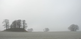 DSC_0249.JPG