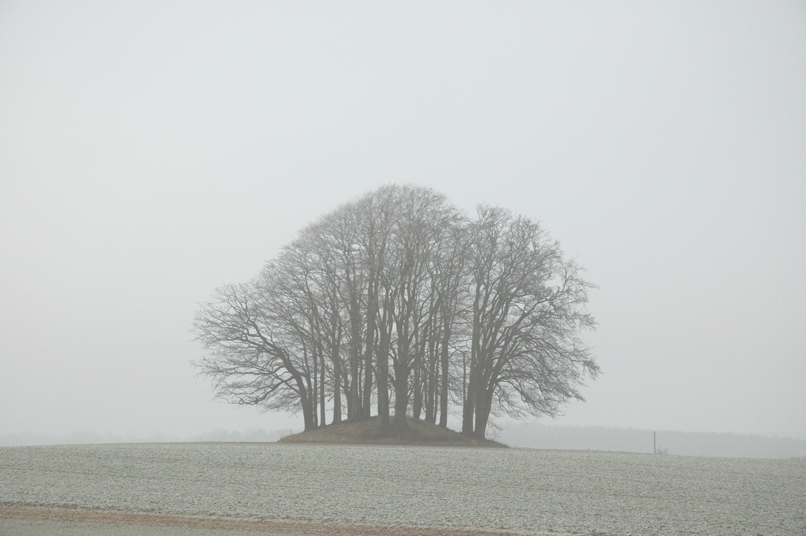 DSC_0254.JPG