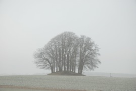 DSC_0254.JPG