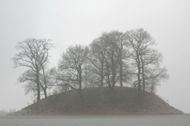DSC_0253b