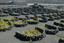 Lanzarote_20060928_15-27-14_DSC_3153.jpg