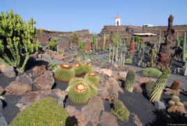Lanzarote_20071109_13-47-16_DSC_0930.jpg