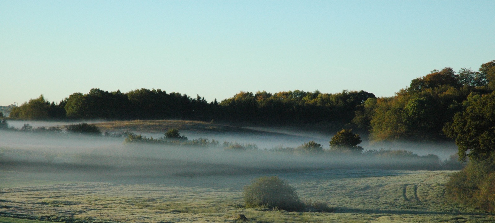 DSC_0848.JPG