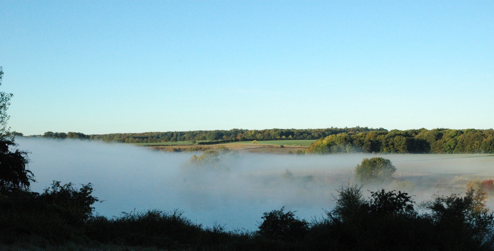 DSC_0849.JPG