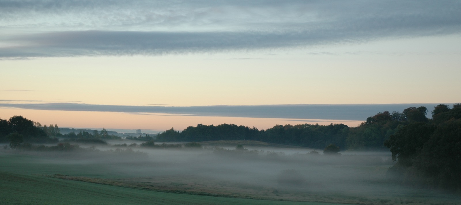 DSC_0873.JPG