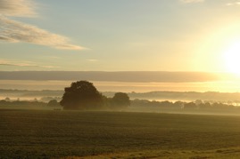 DSC_0892.JPG