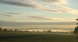 DSC_0894.JPG