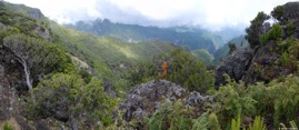 Panorama Madeira 2.jpg