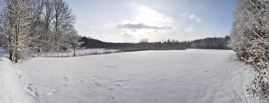 Panorama Winterwald.jpg