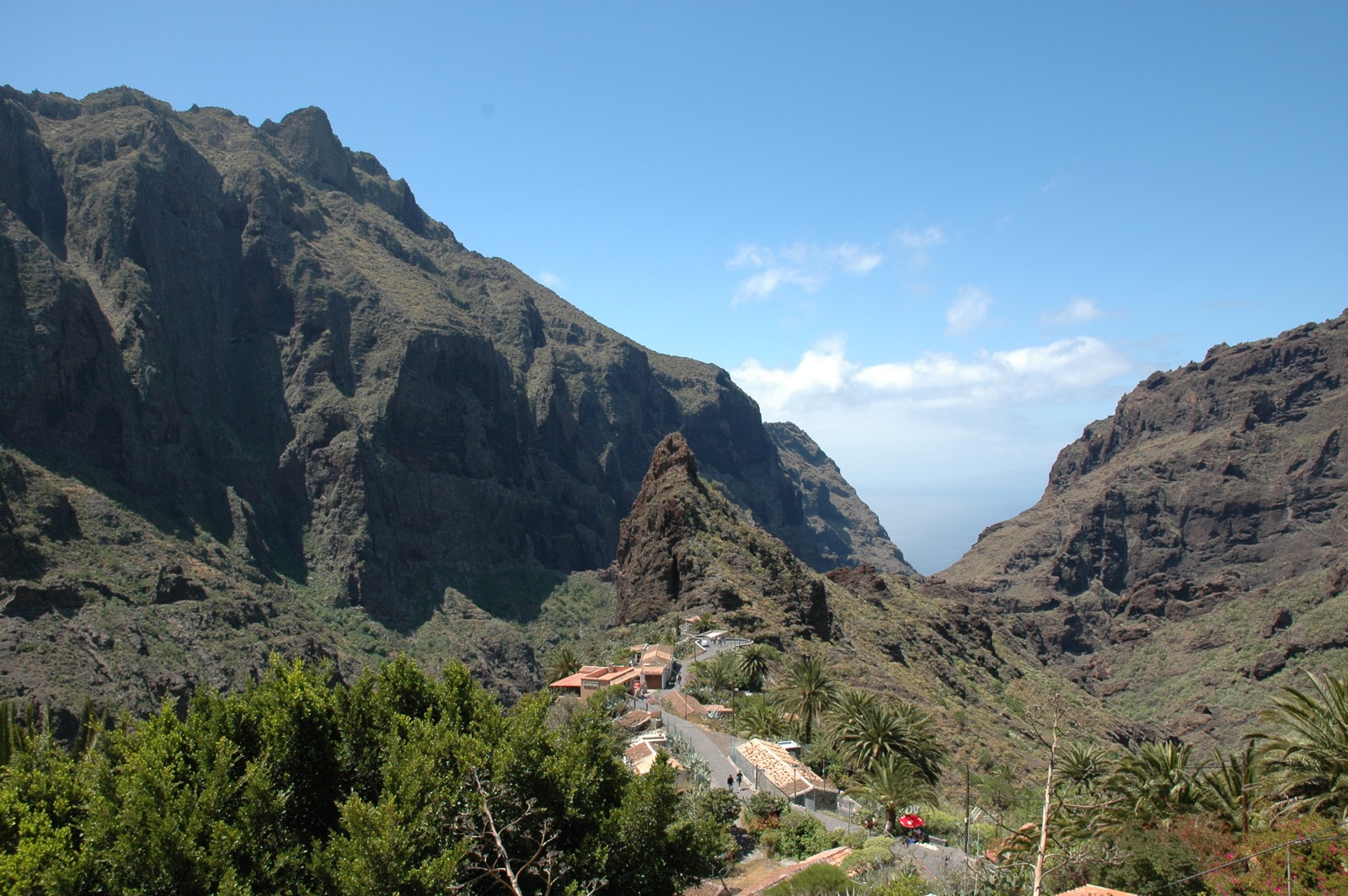 DSC_0397.JPG