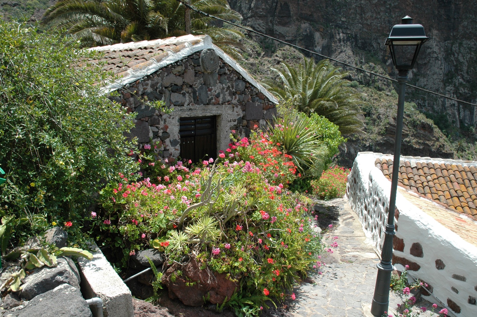 DSC_0415.JPG