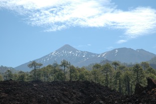DSC_0456.JPG
