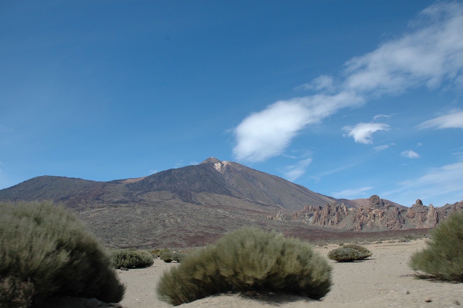 DSC_0542.JPG