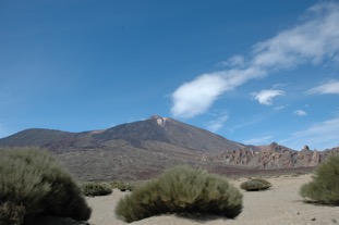 DSC_0542.JPG