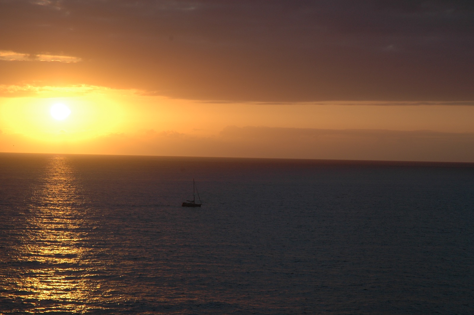 DSC_0556.JPG