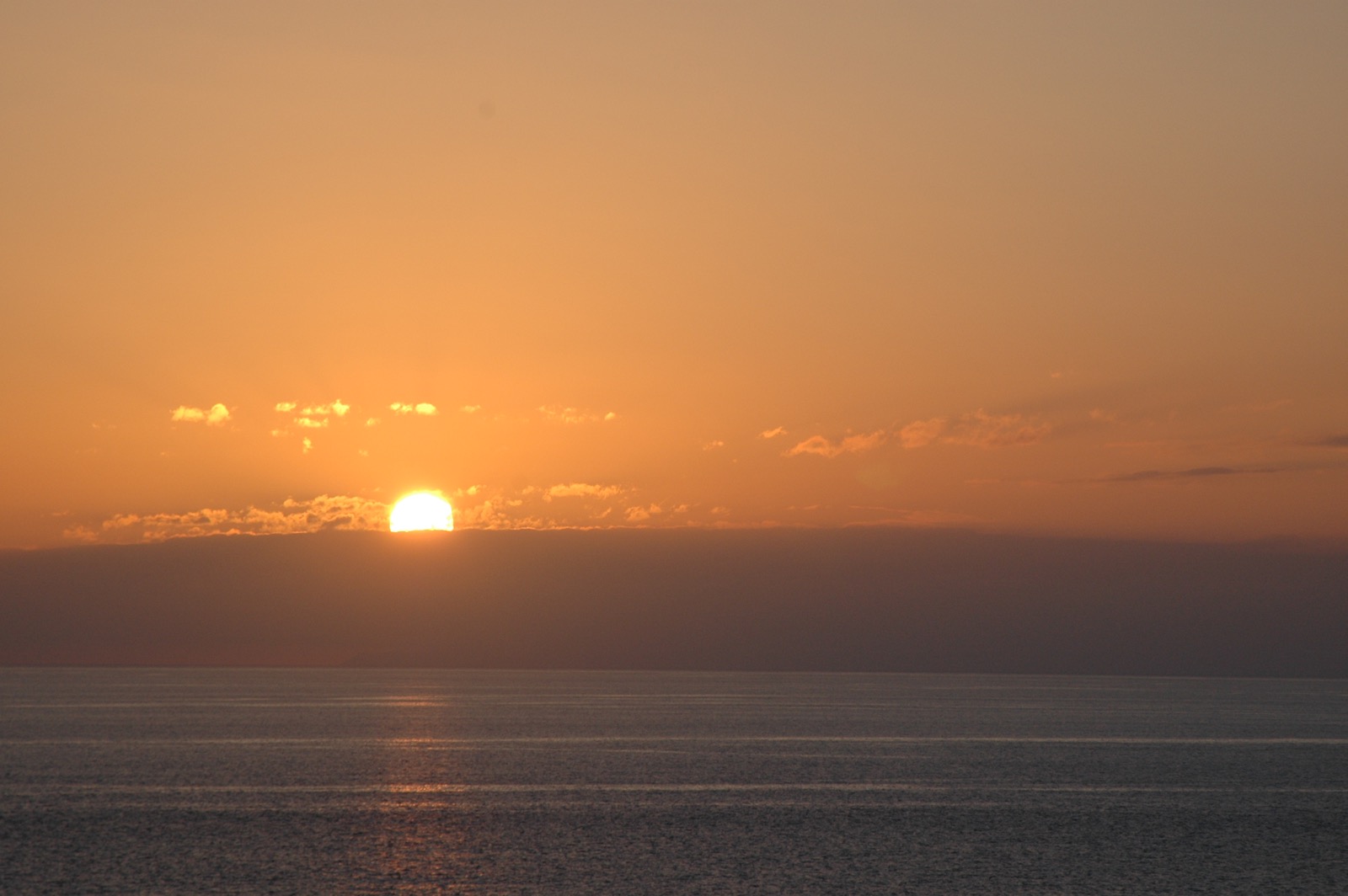 DSC_0661.JPG
