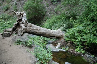 DSC_0723.JPG