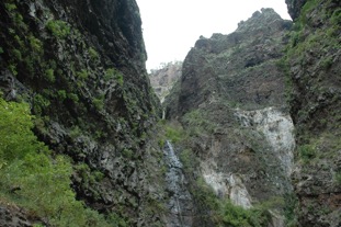 DSC_0733.JPG