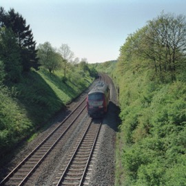 #16.jpg
