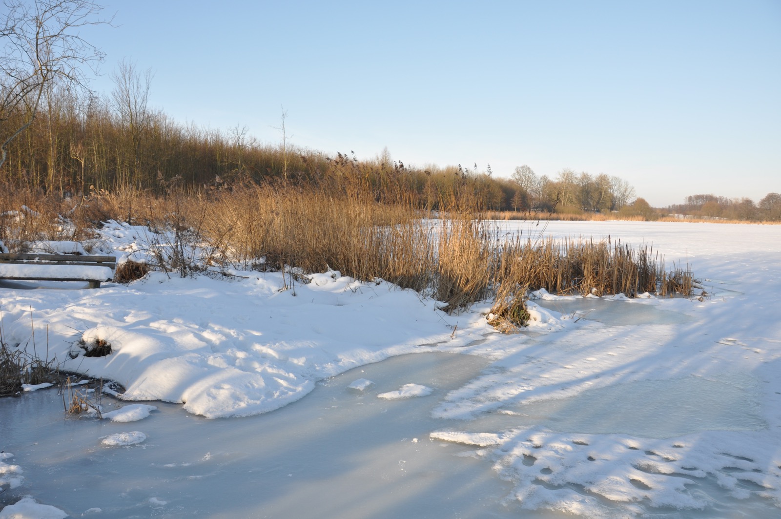 Herrenteich_20100126_14-58-38_DSC_1542.jpg