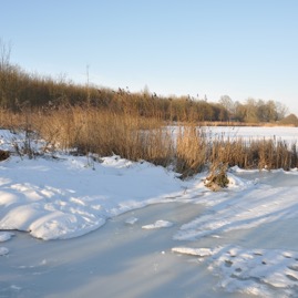 Herrenteich_20100126_14-58-38_DSC_1542.jpg